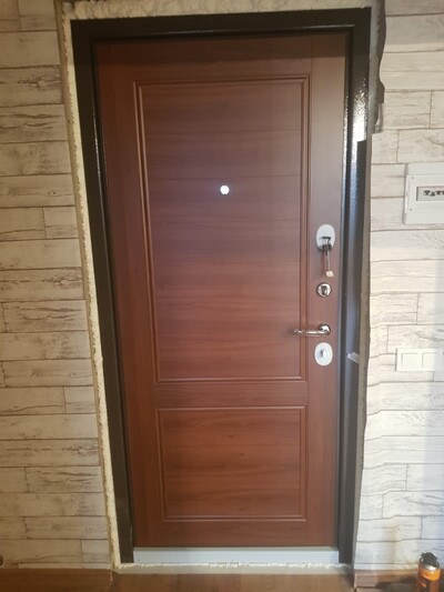 Дверь входная 10