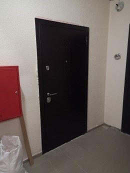 Дверь входная 1
